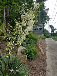 Garden Volunteer Opportunity