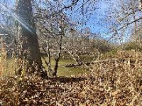 20's & 30's Group: Eno River Hike