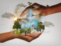Earth & Climate Justice Month: Sustainable Living Fair