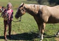 Ministry with Dexter the Horse