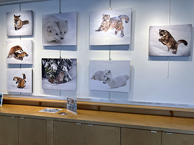 Melissa Theil Art Gallery 2