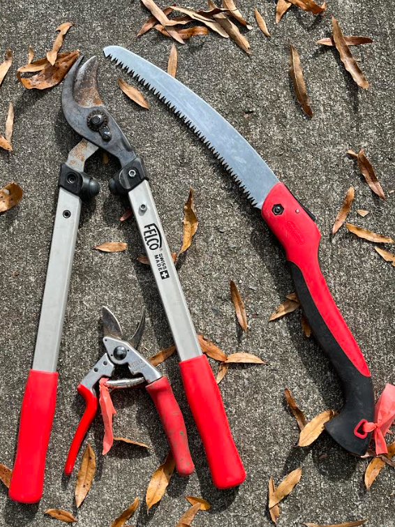 Screenshot 2024 11 06 160711